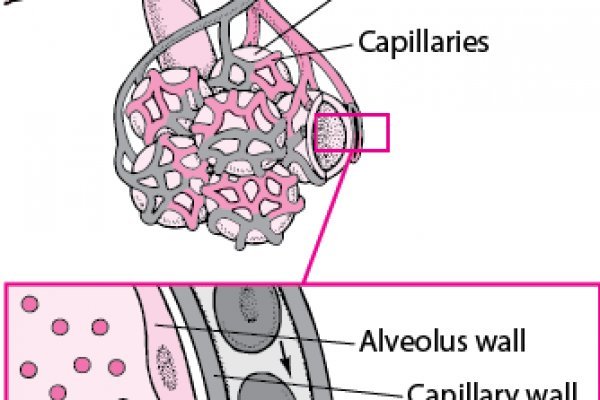 Блэкспрут сайт bs2web top